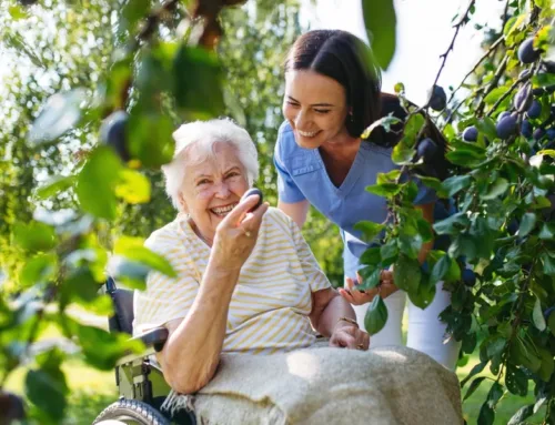 Is Assisted Living the Same as a Nursing Home? 3 Key Differences